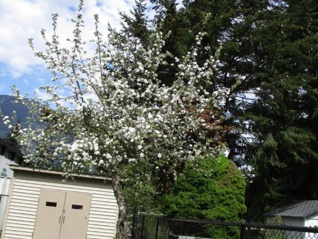 Listing Image 16