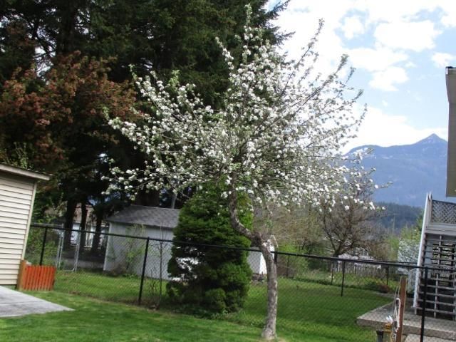 Listing Image 18
