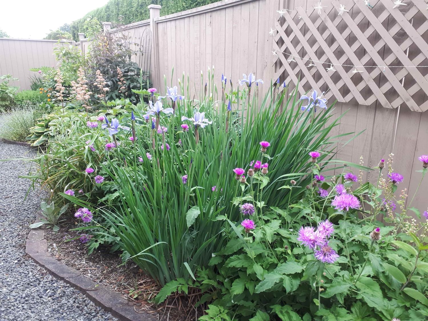 Listing Image 38
