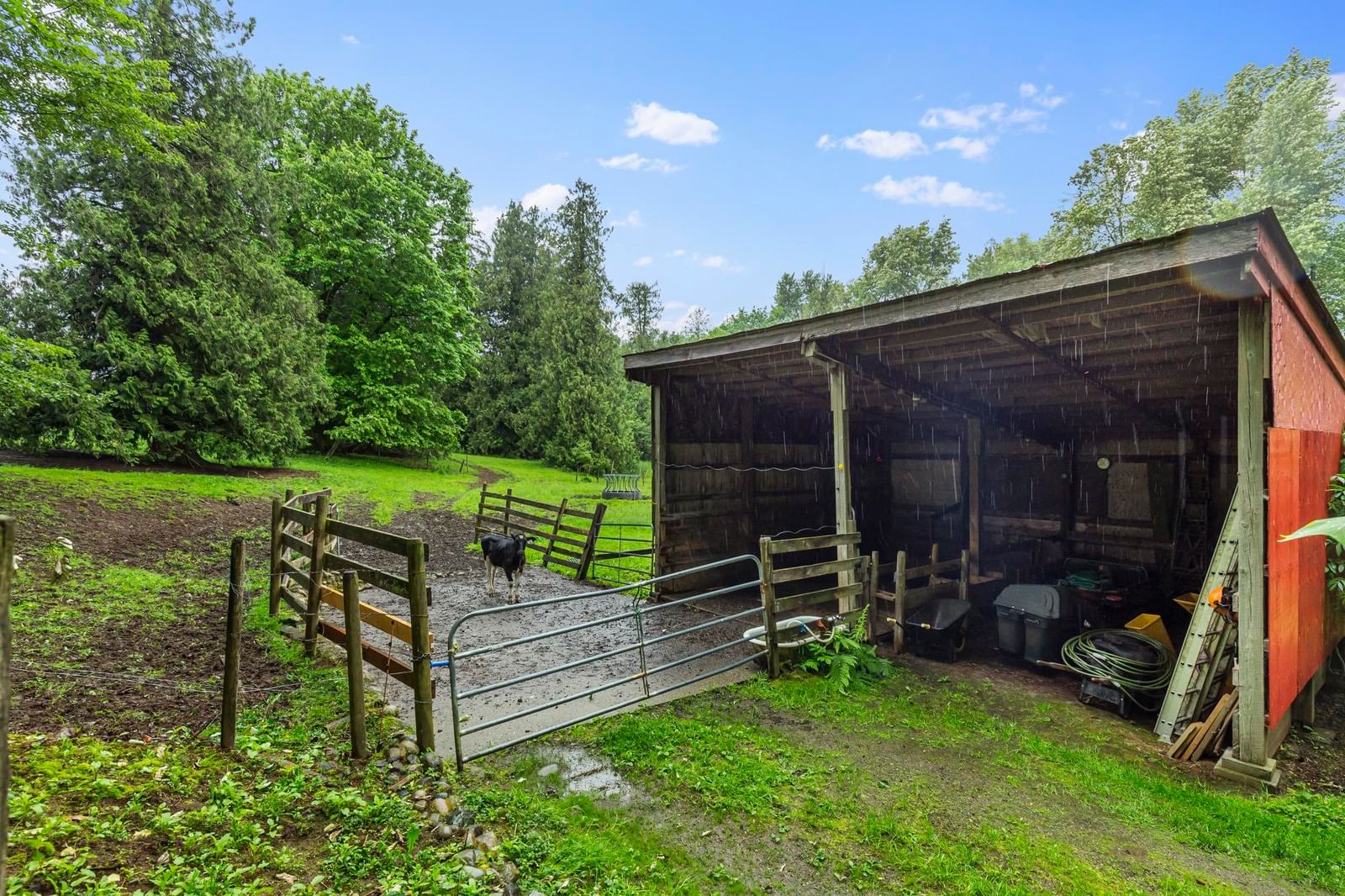 Listing Image 33