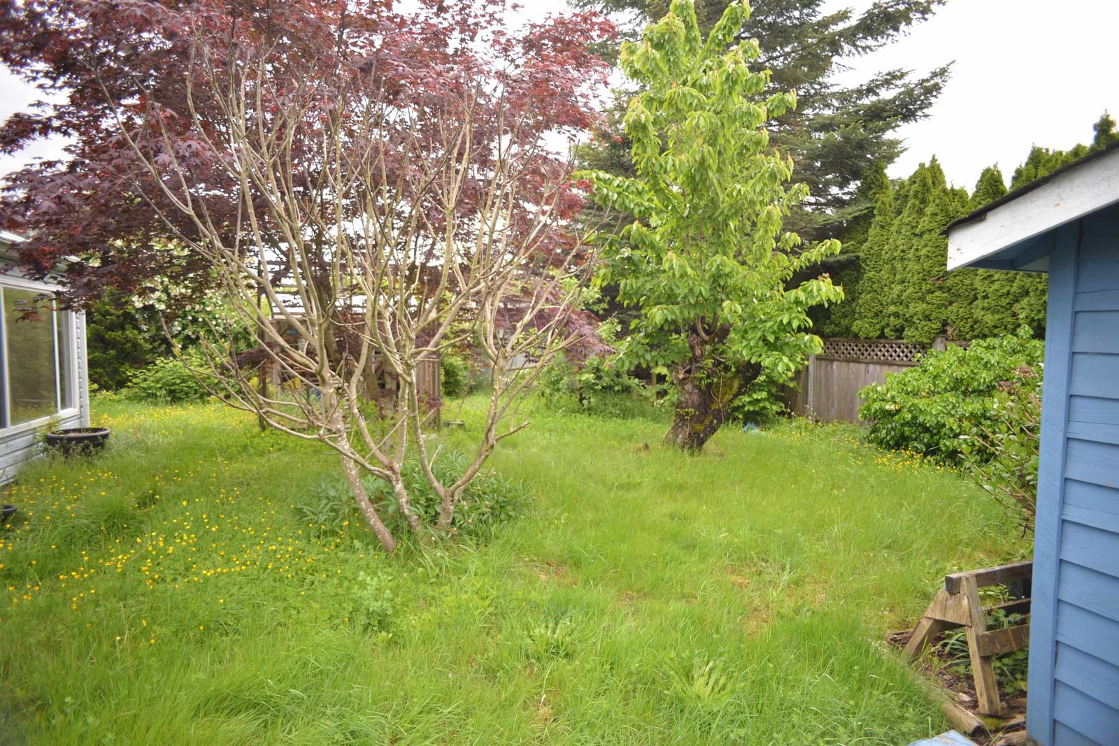 Listing Image 25