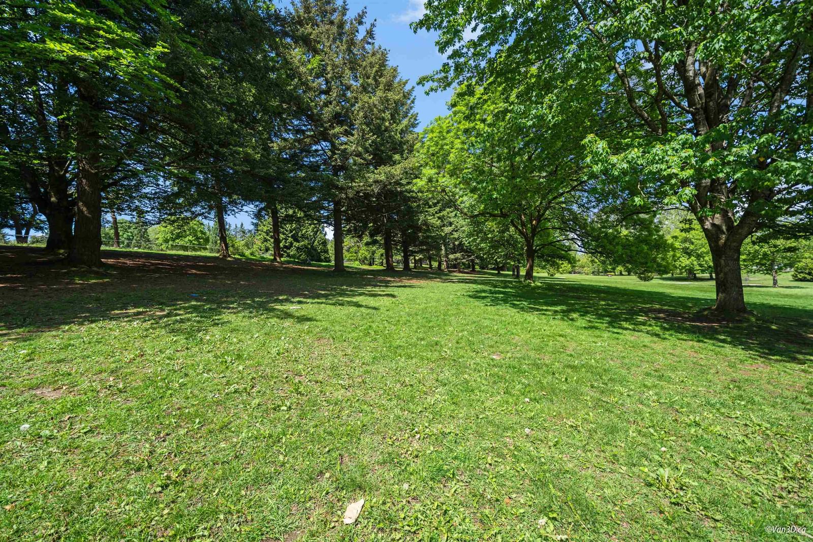 Listing Image 39