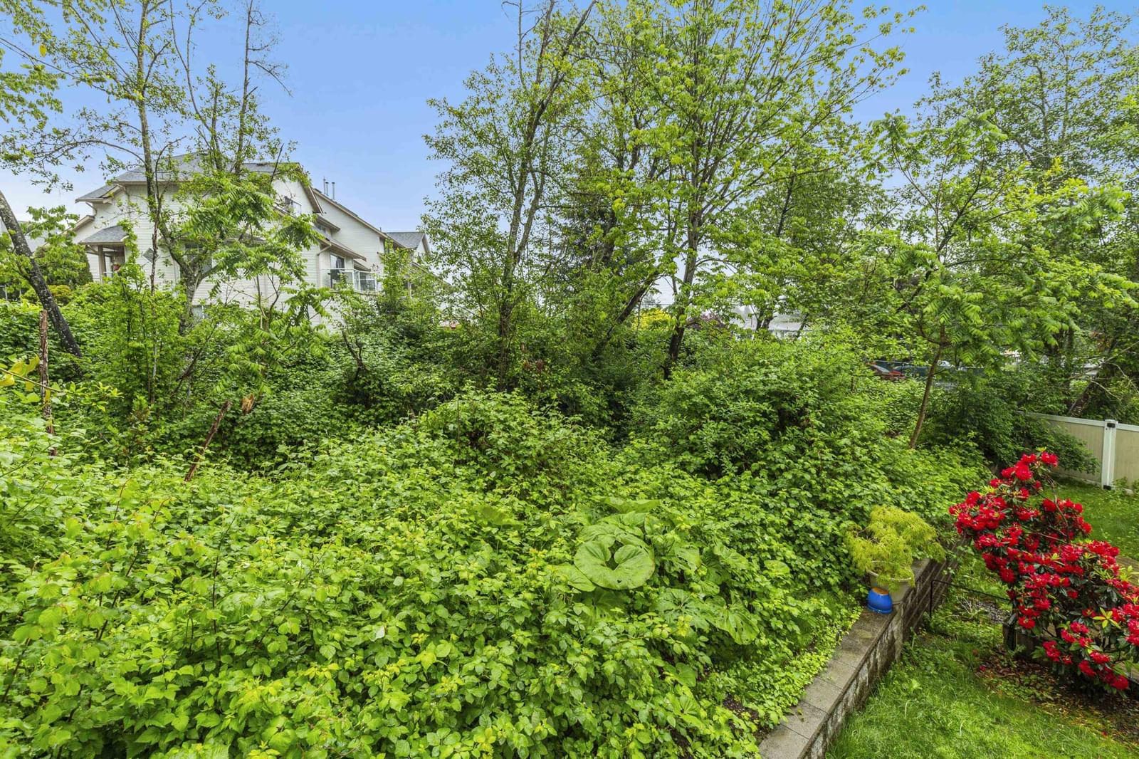 Listing Image 37