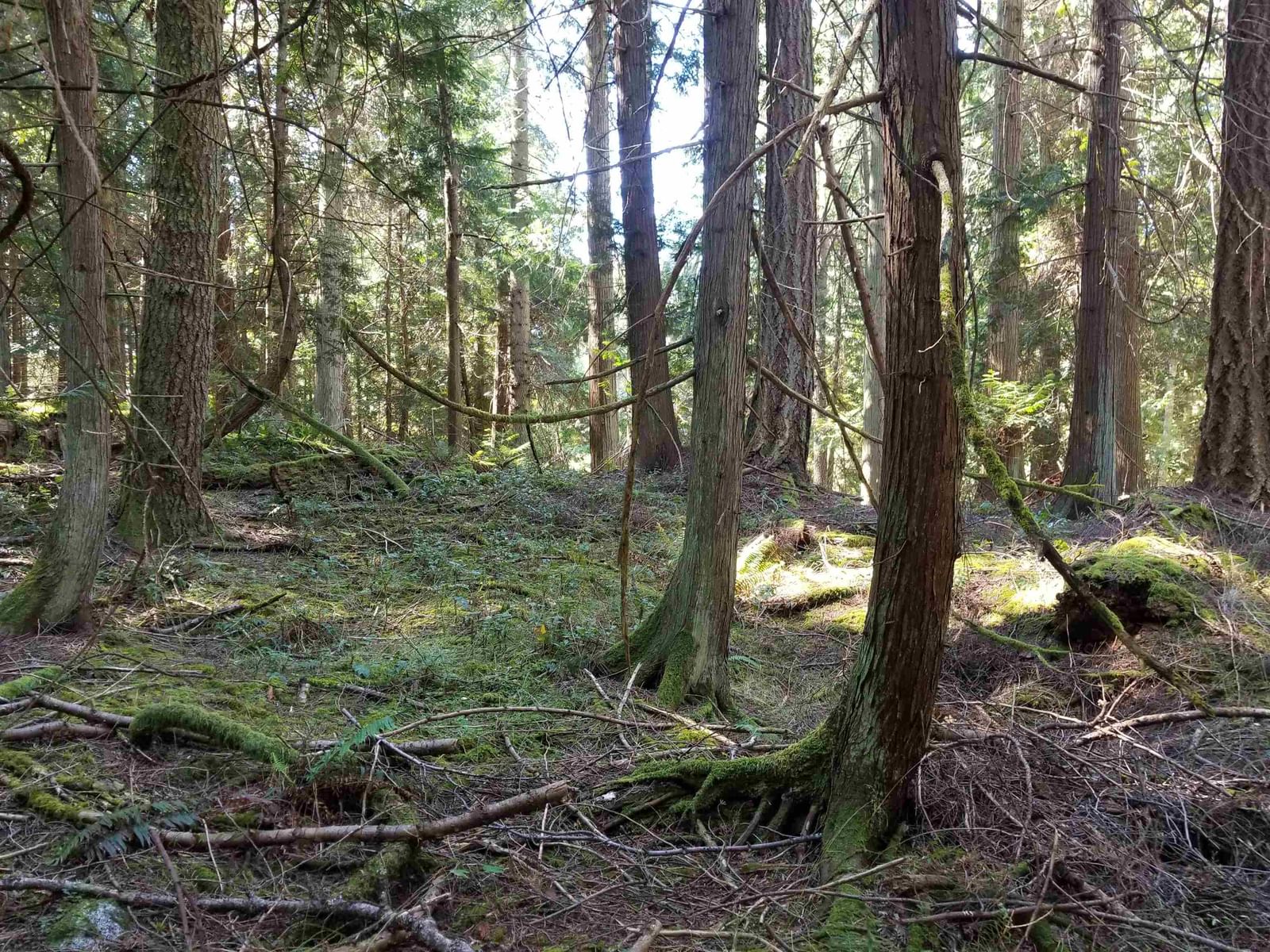 Listing Image 13