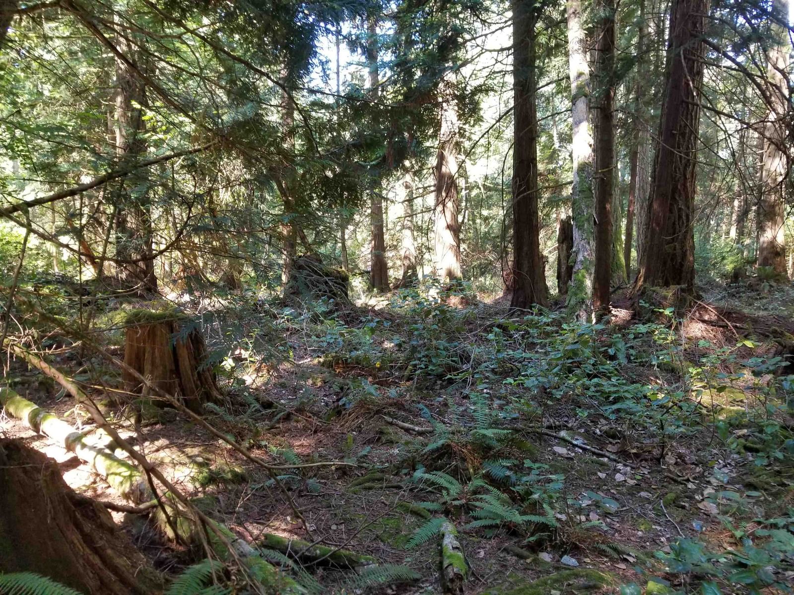 Listing Image 15