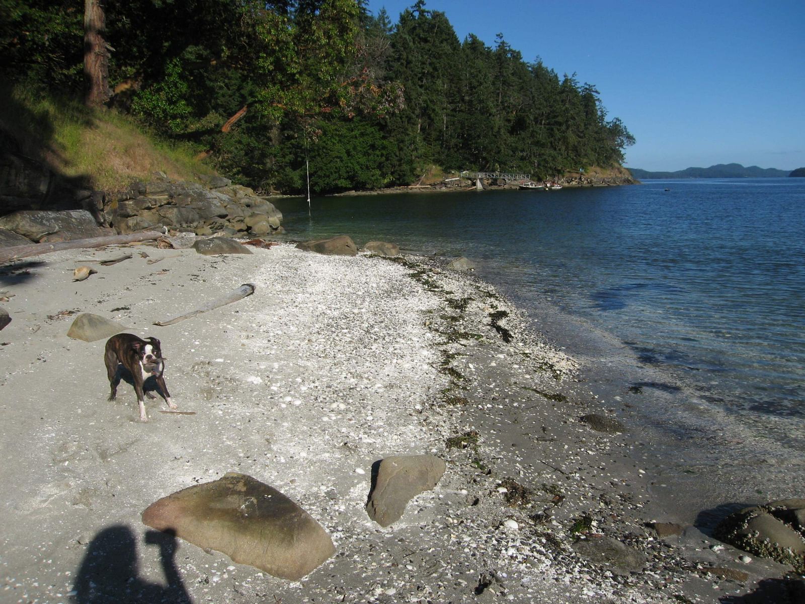 Listing Image 31