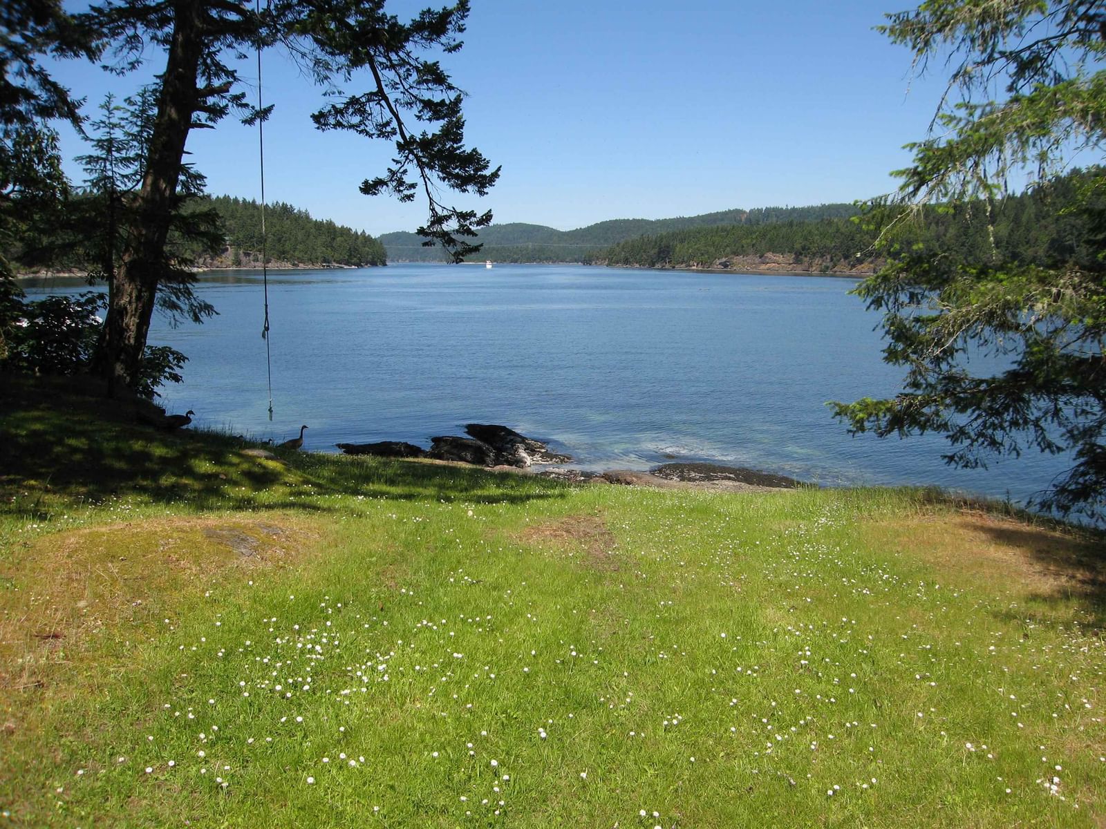 Listing Image 36