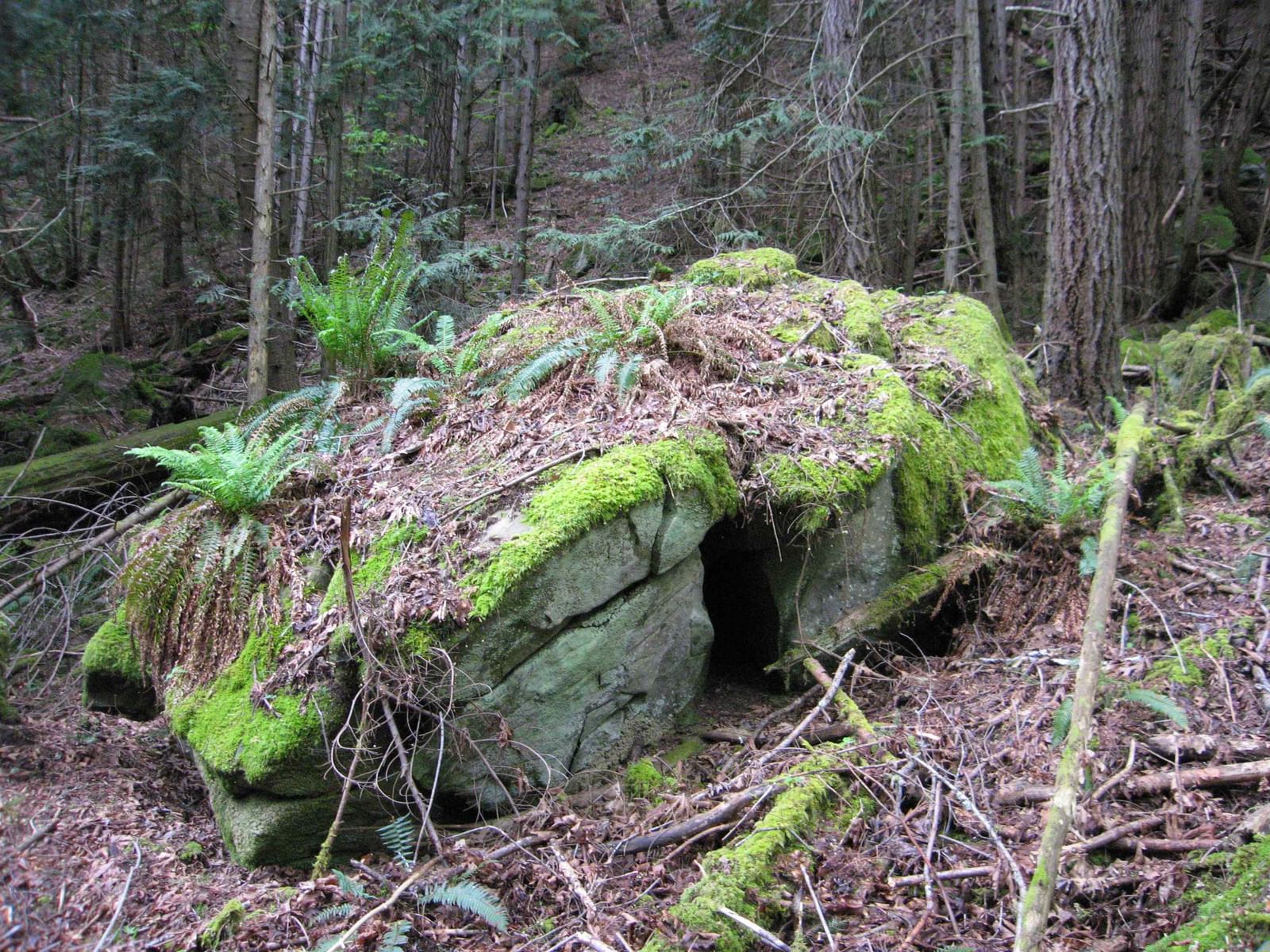 Listing Image 40