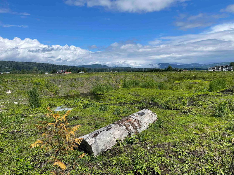 26215 84 Avenue, Langley, V1M 3M6 | Image 3