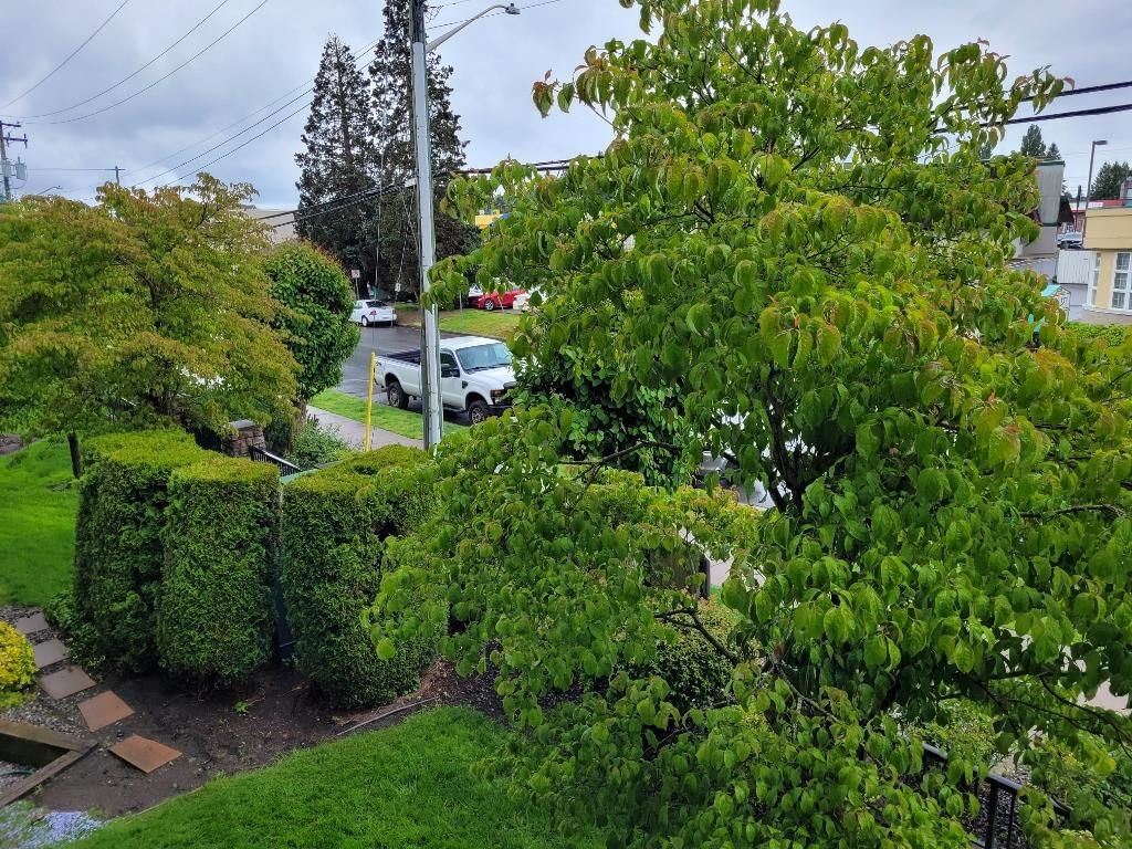 Listing Image 25