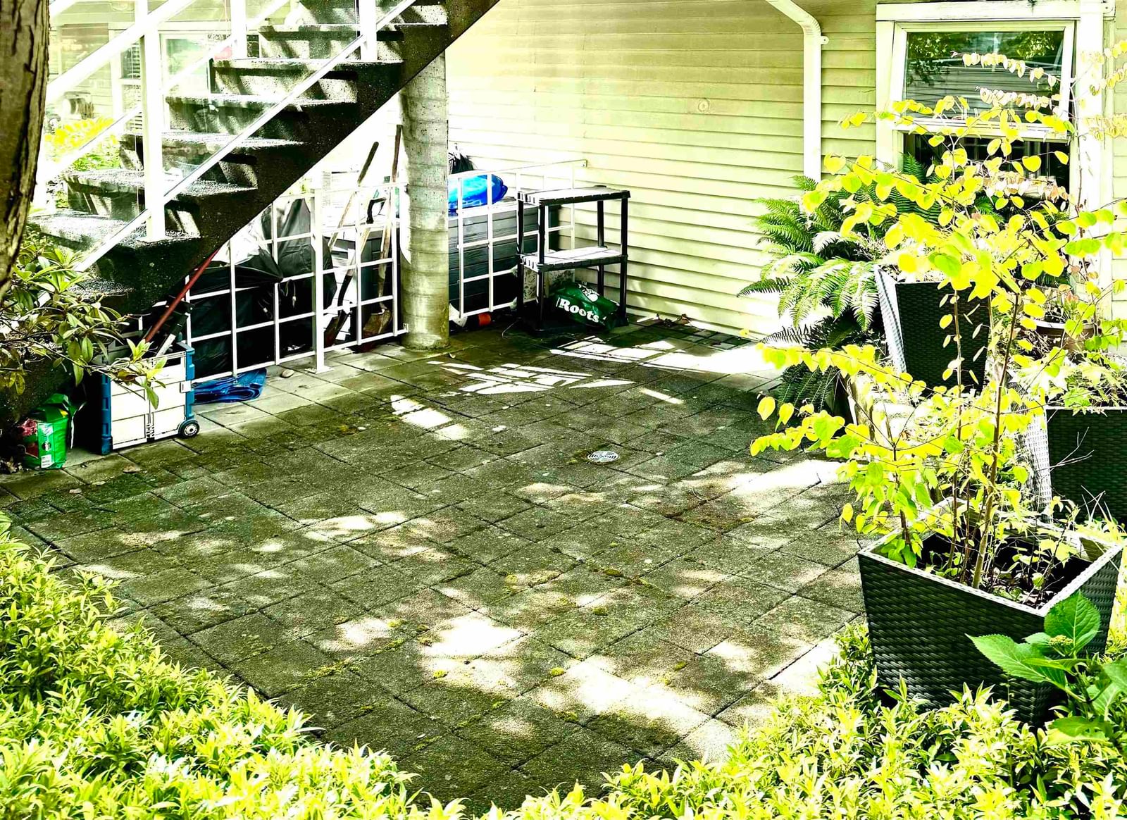Listing Image 12
