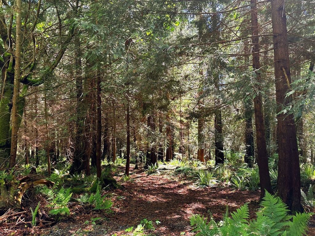 Listing Image 39