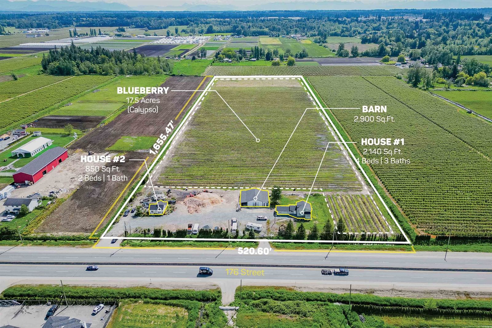 Listing Image 1