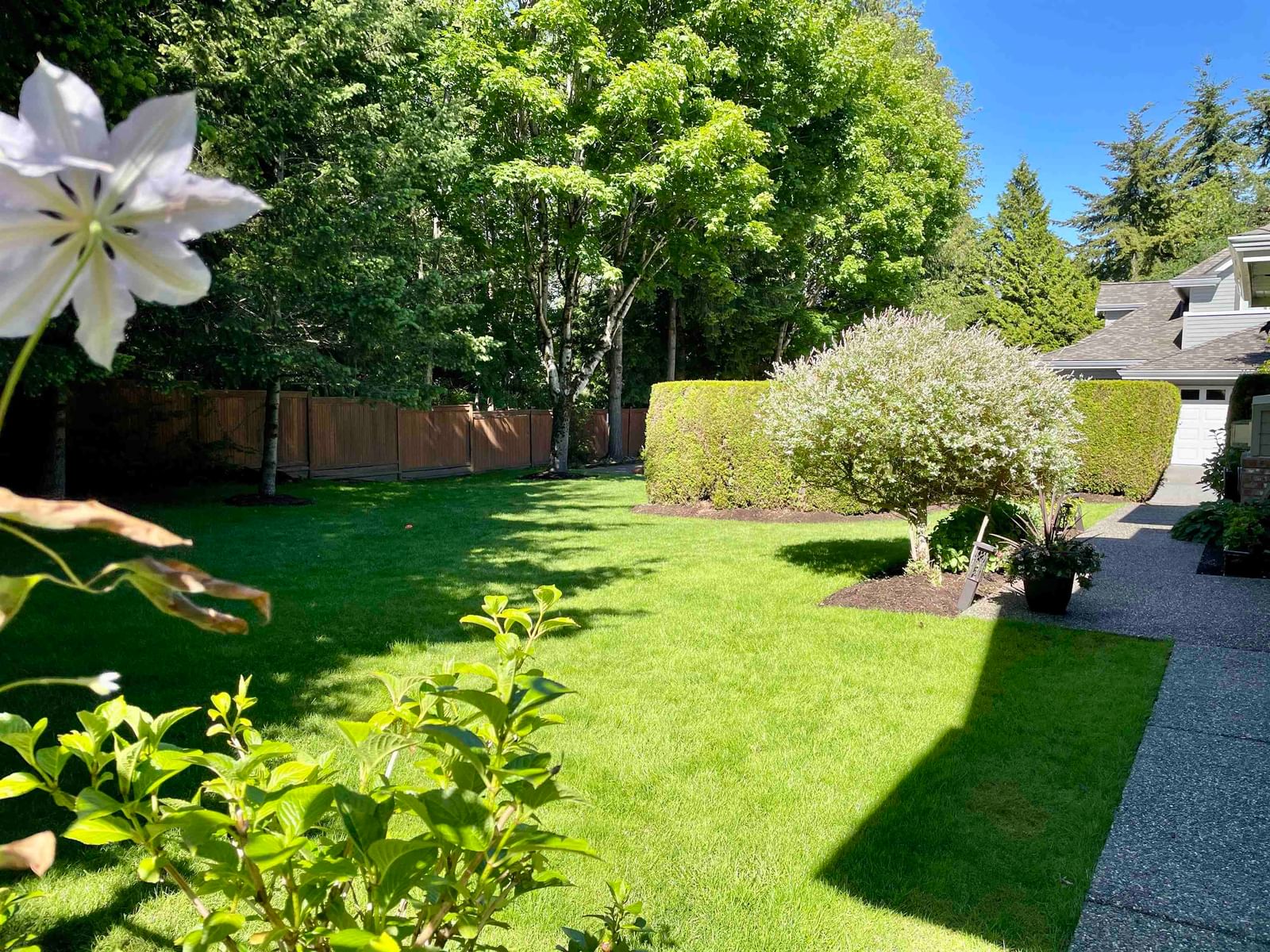Listing Image 34