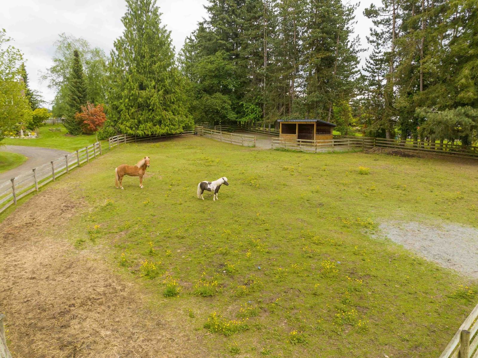 Listing Image 39