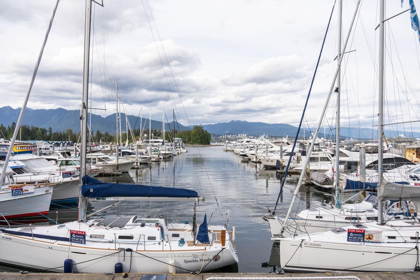 Listing Image 31