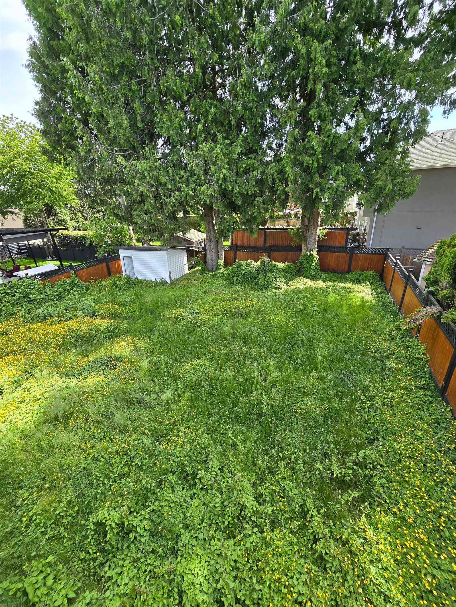 Listing Image 16