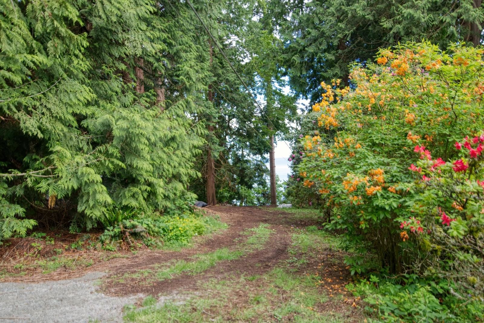 Listing Image 38