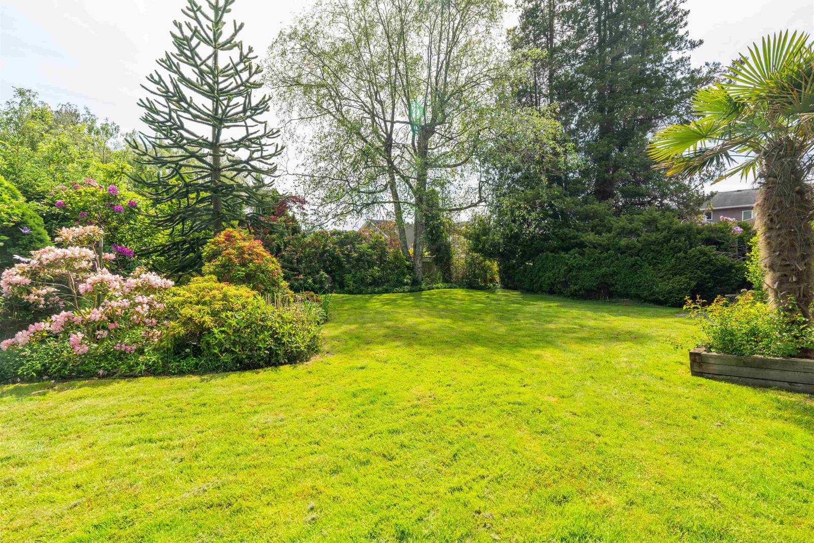 Listing Image 29