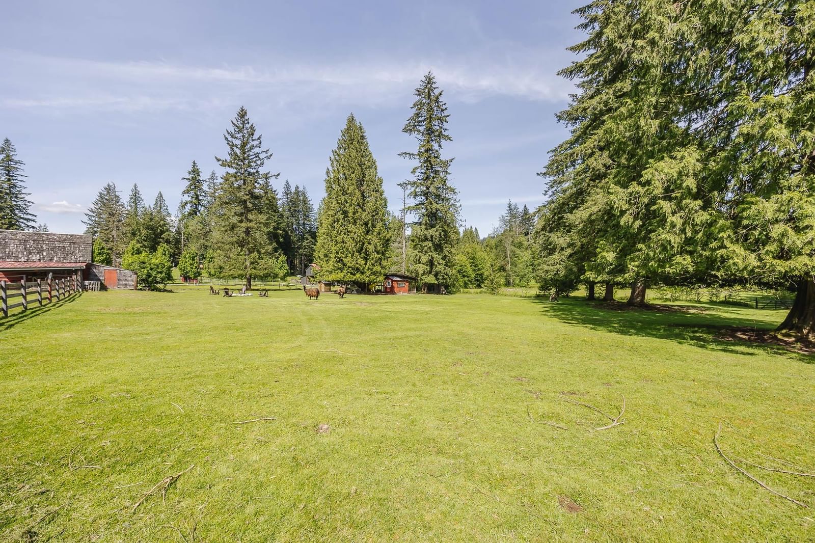 Listing Image 38