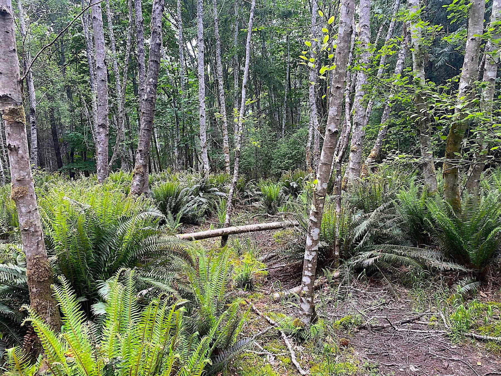Listing Image 10