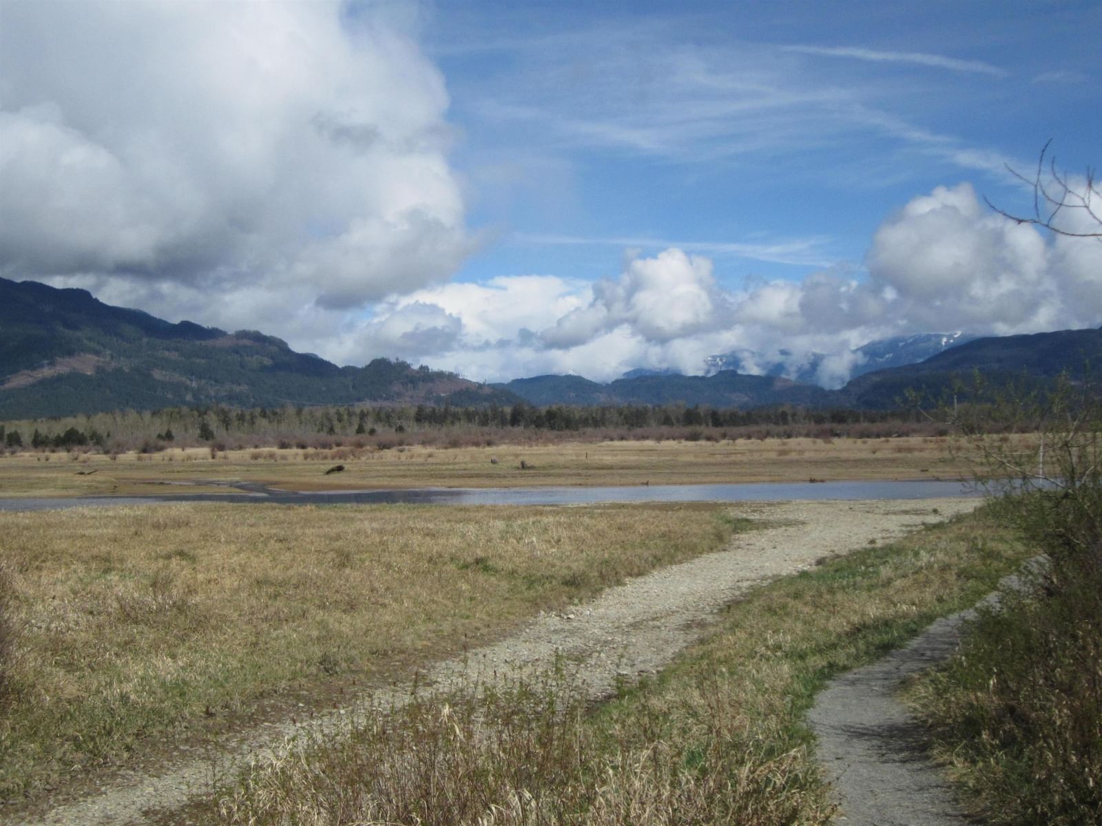 Listing Image 28