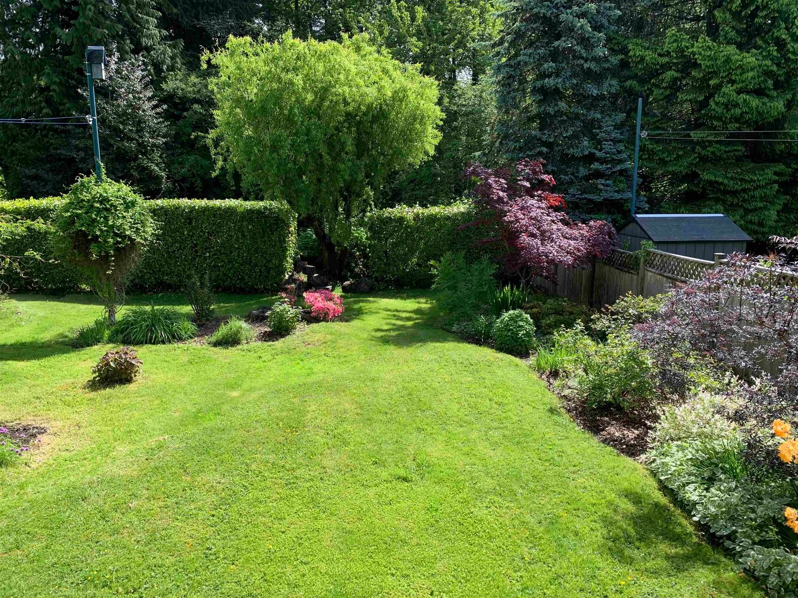 Listing Image 15