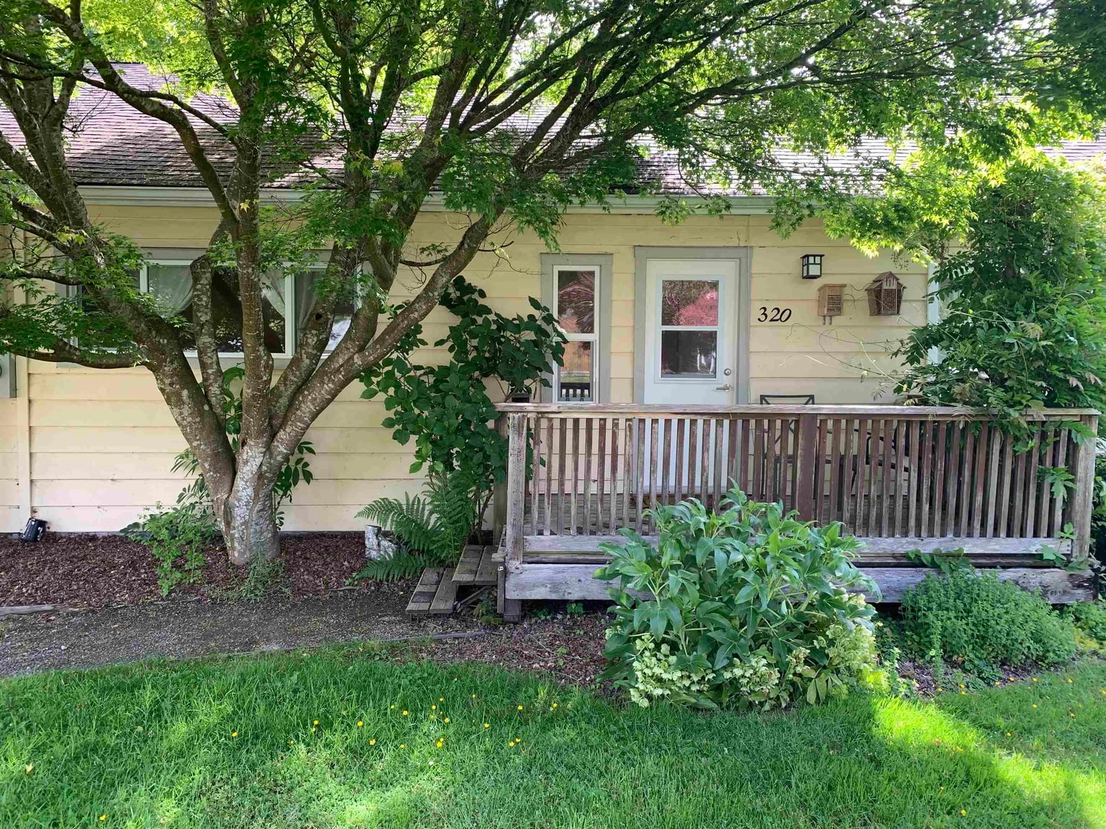 Listing Image 4