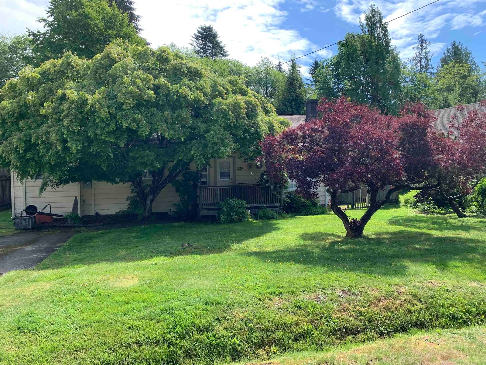 Listing Image 5