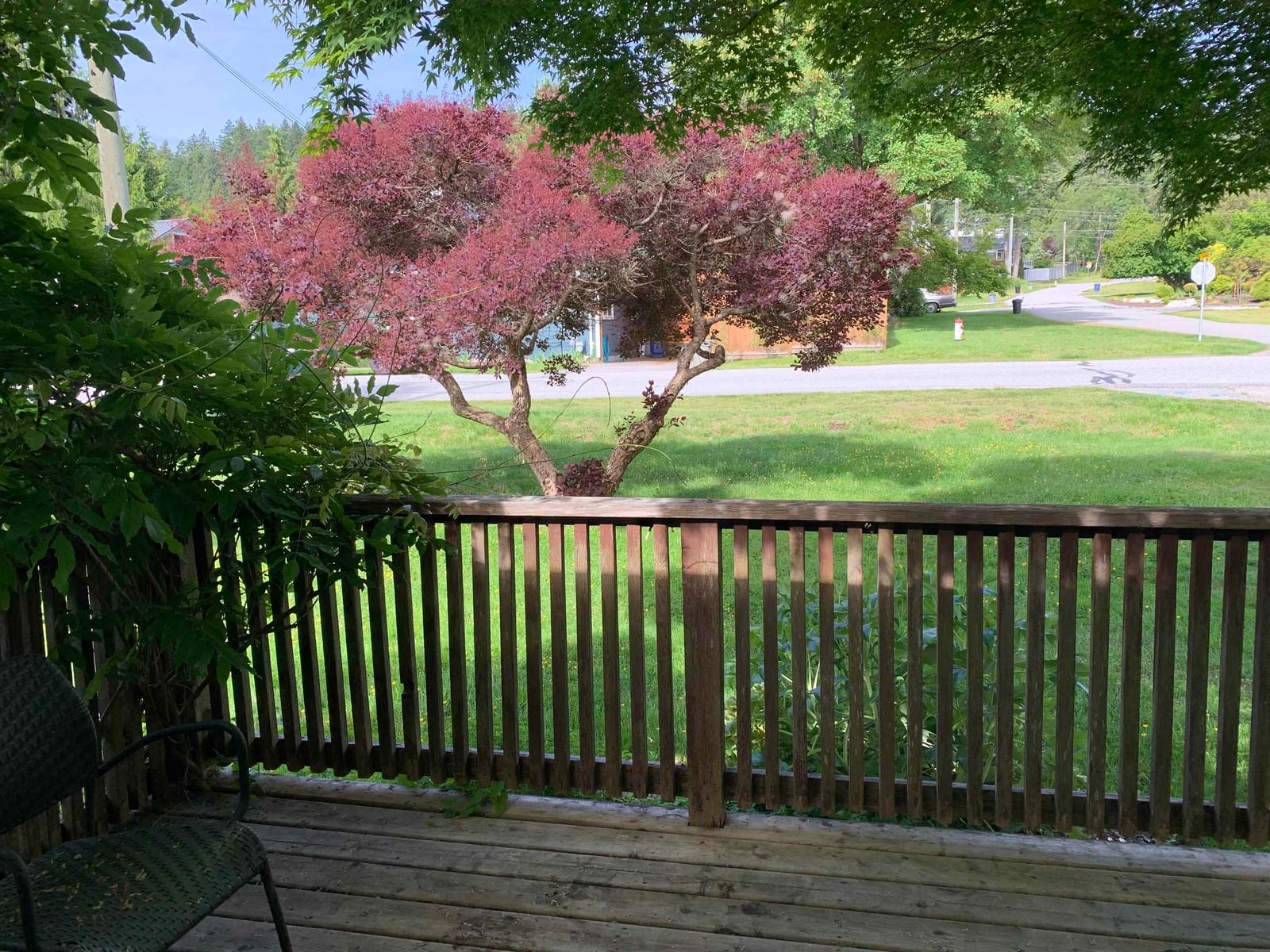 Listing Image 6