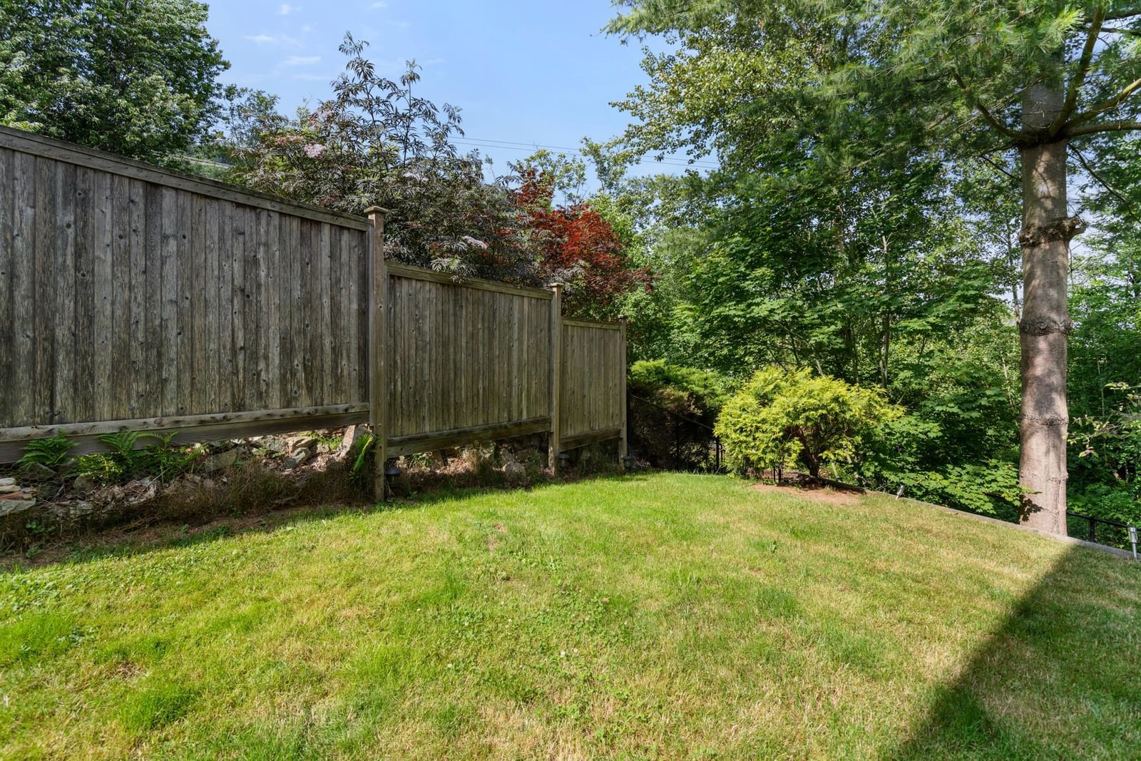 Listing Image 38