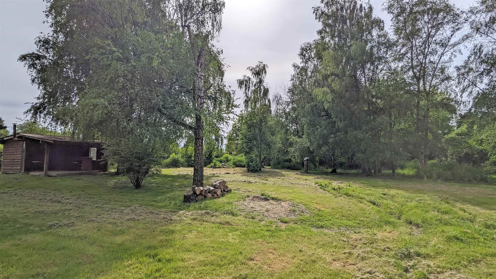 Listing Image 29