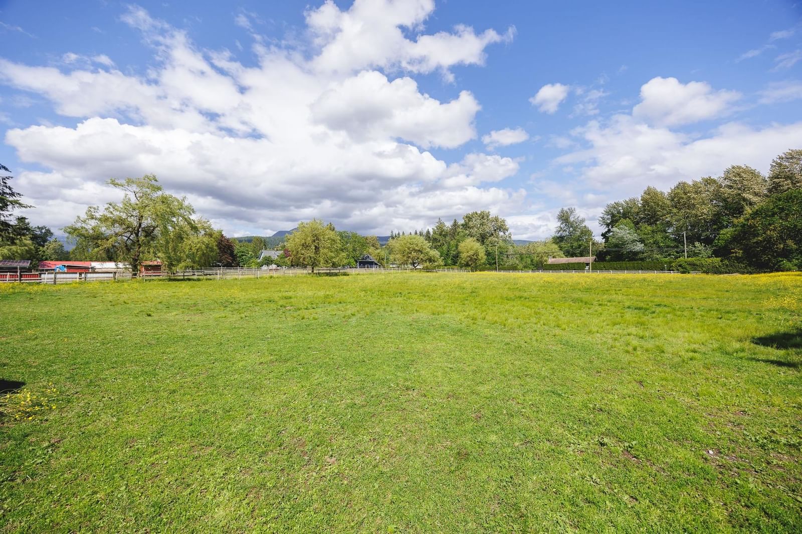 Listing Image 28