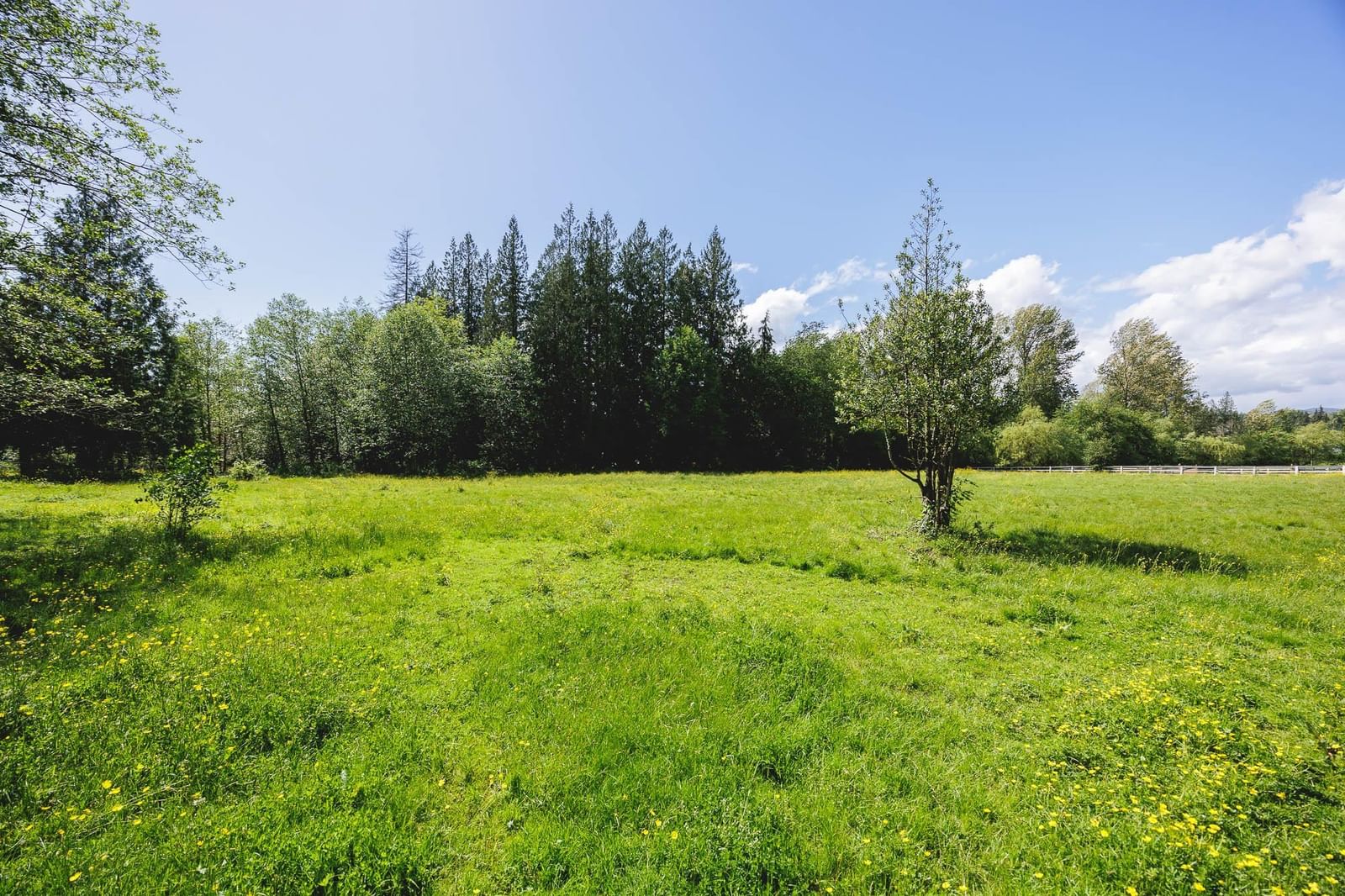 Listing Image 29