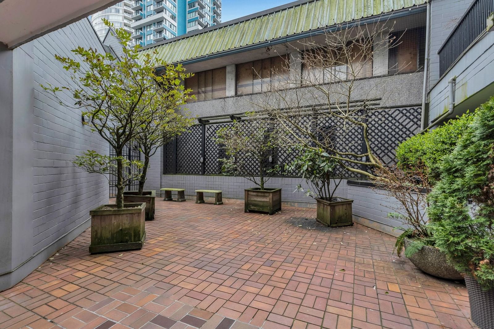 Listing Image 20