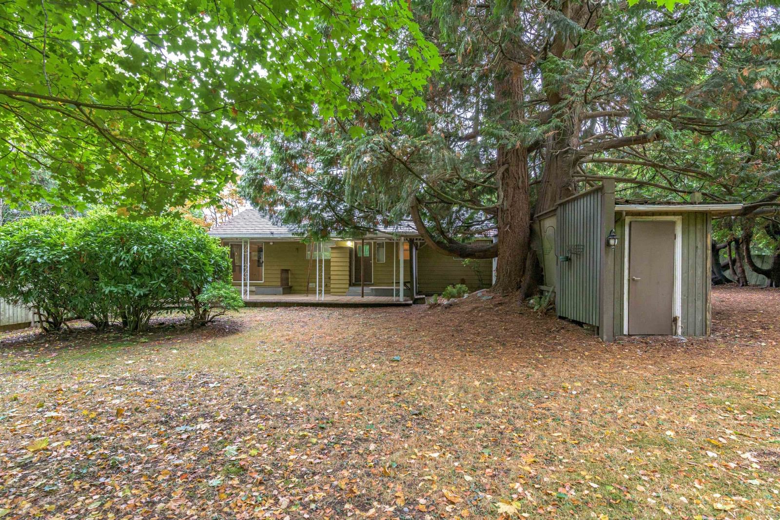 Listing Image 4