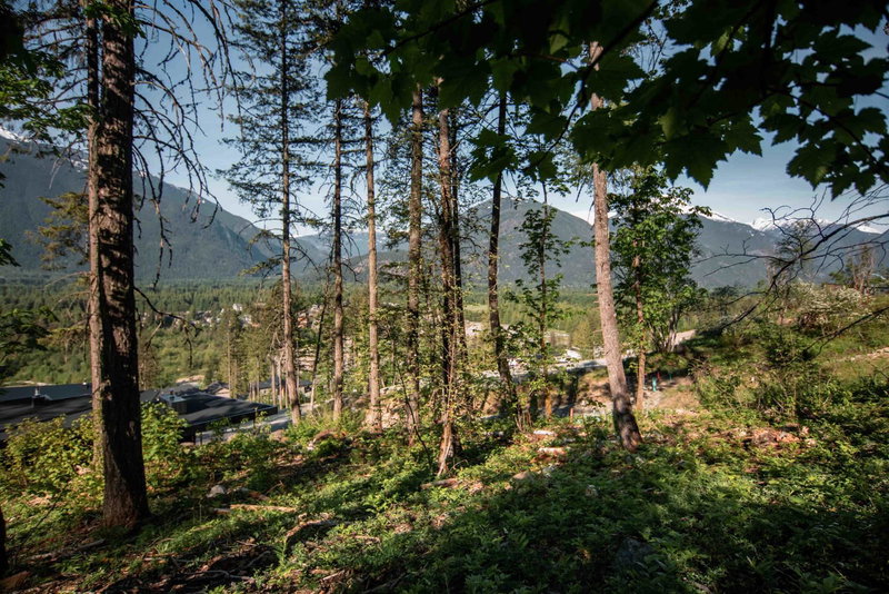 9000 Sun God Mountain Way, Pemberton, V0N 2L3 | Image 3