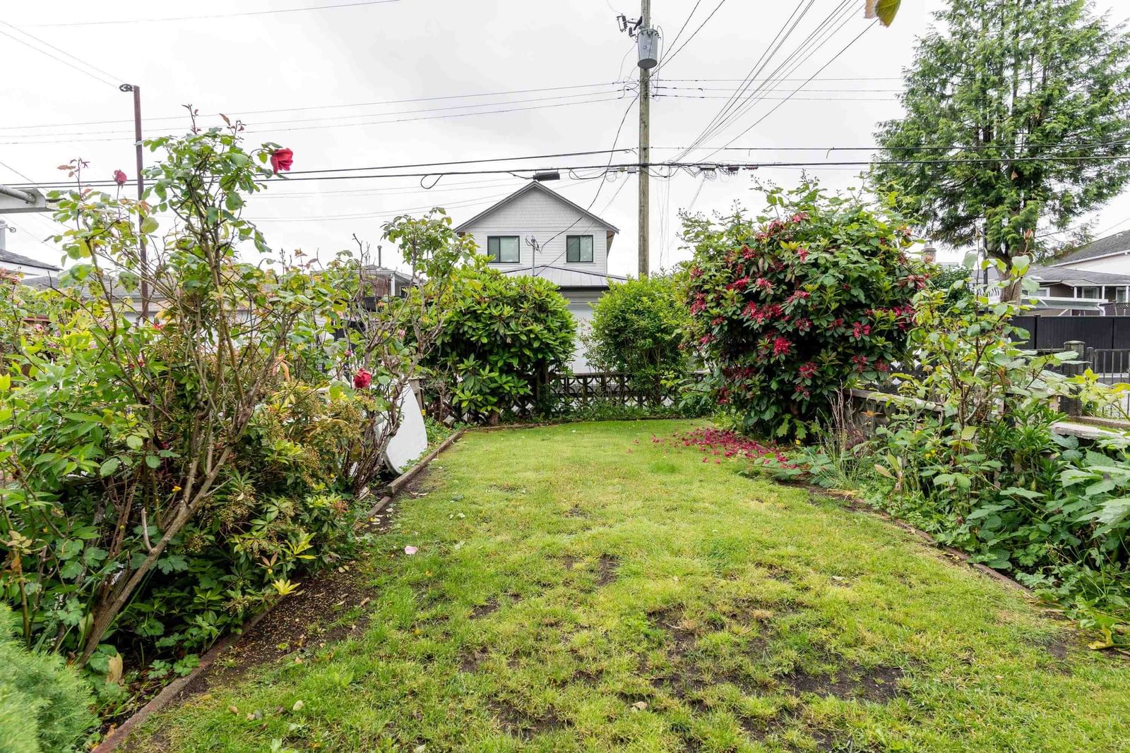 Listing Image 35