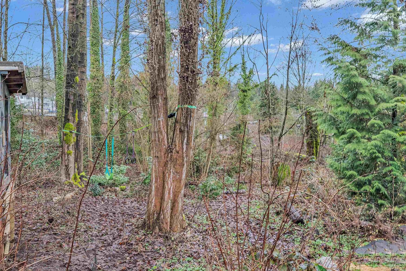 Listing Image 37