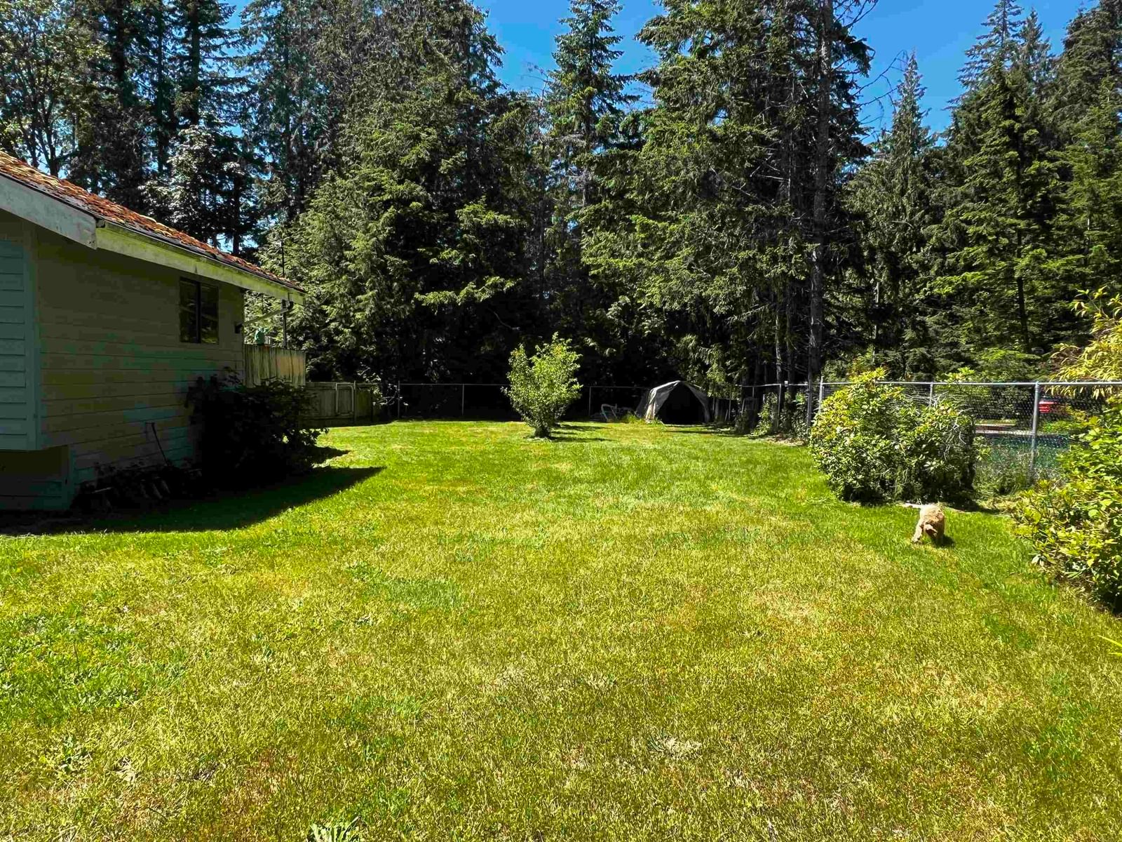 Listing Image 37
