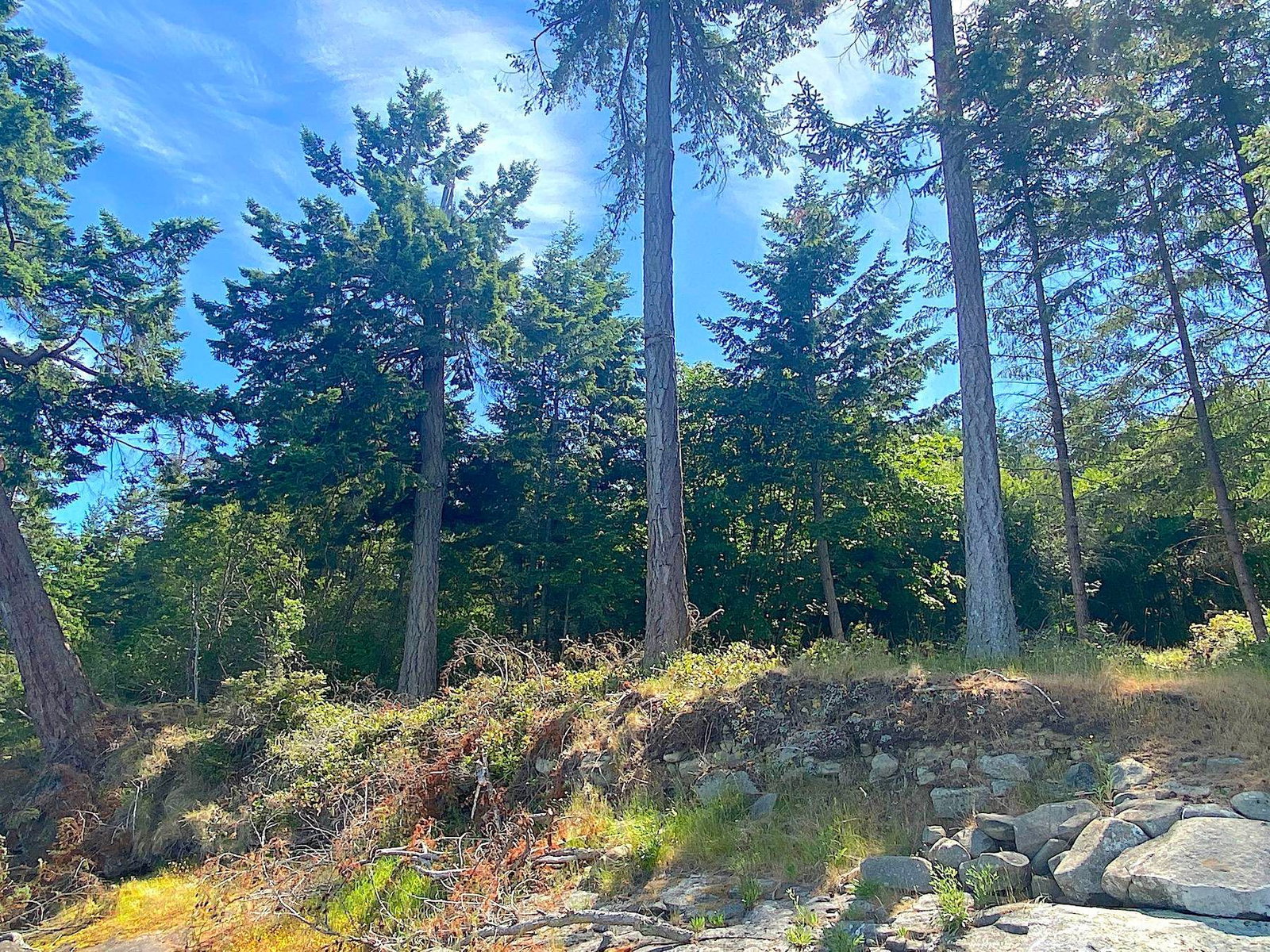 Listing Image 24