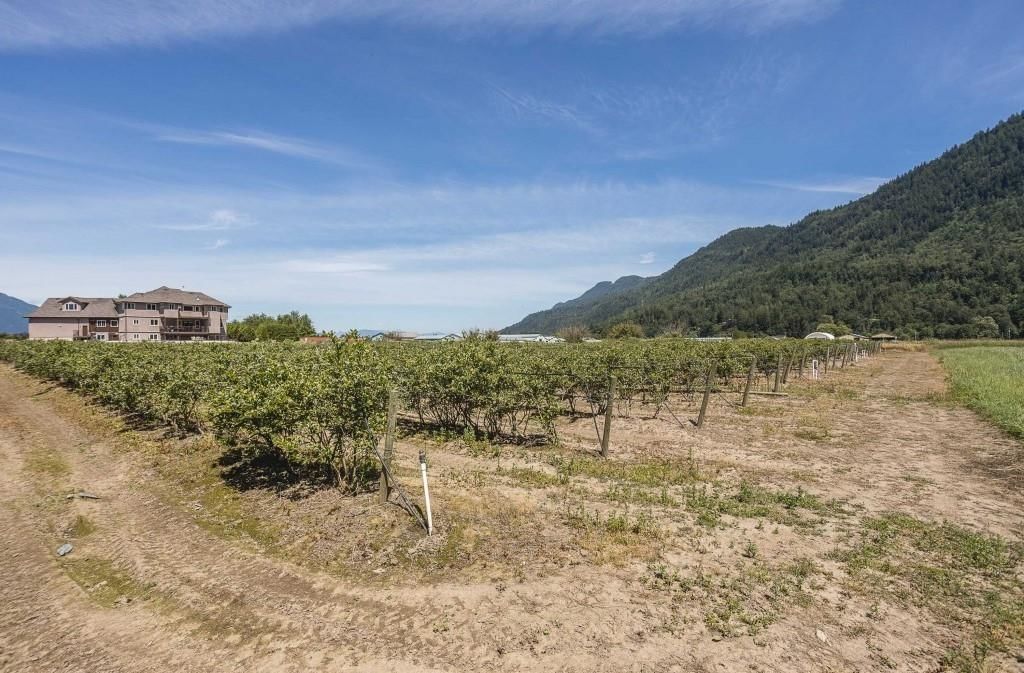 Listing Image 33