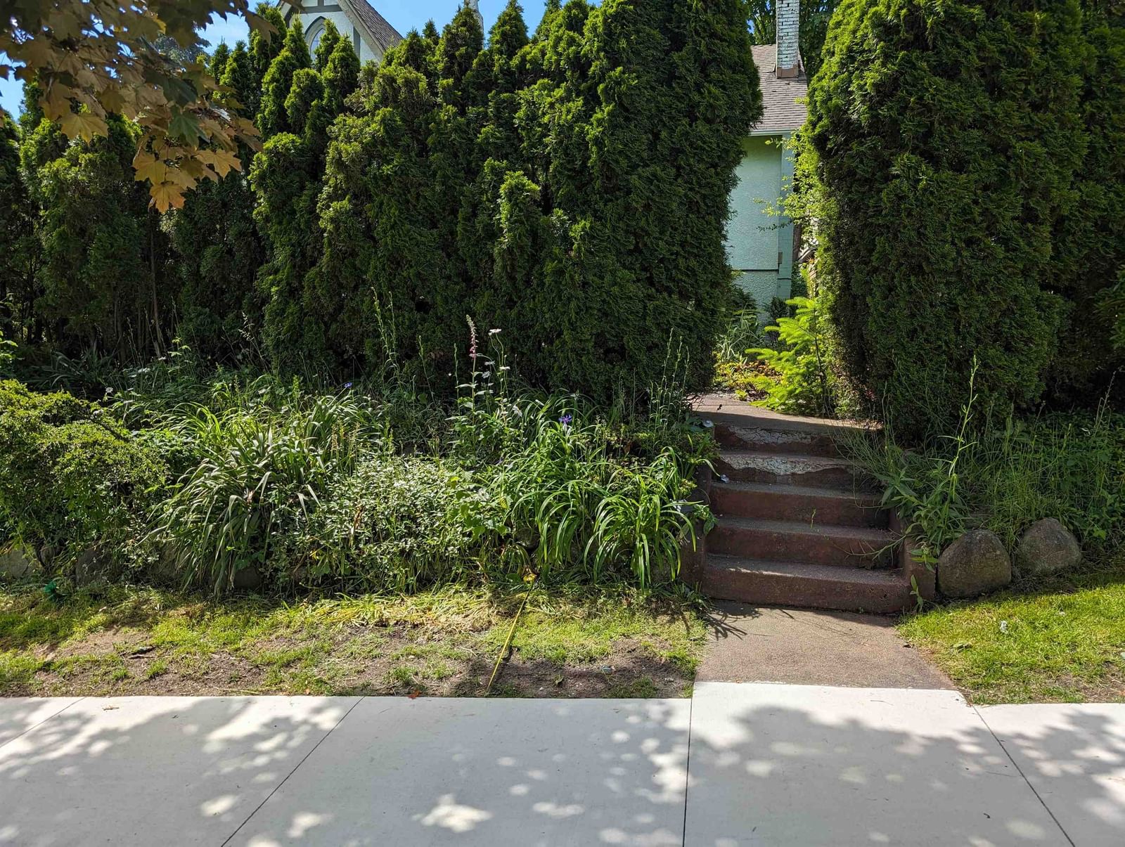 Listing Image 4