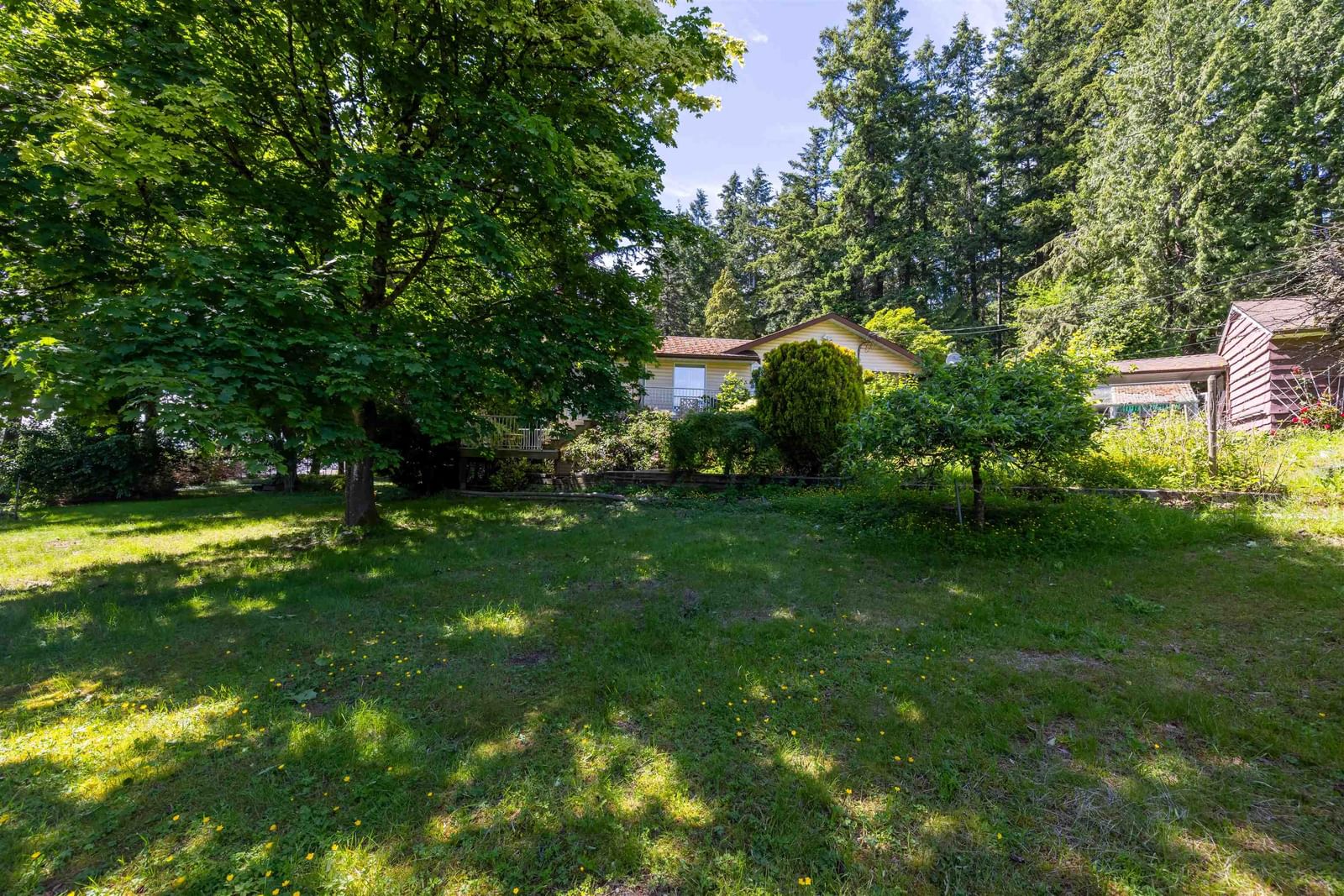 Listing Image 20
