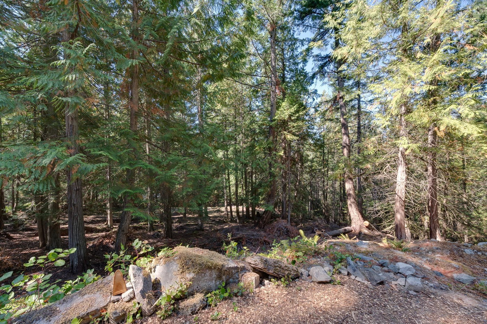 Listing Image 27