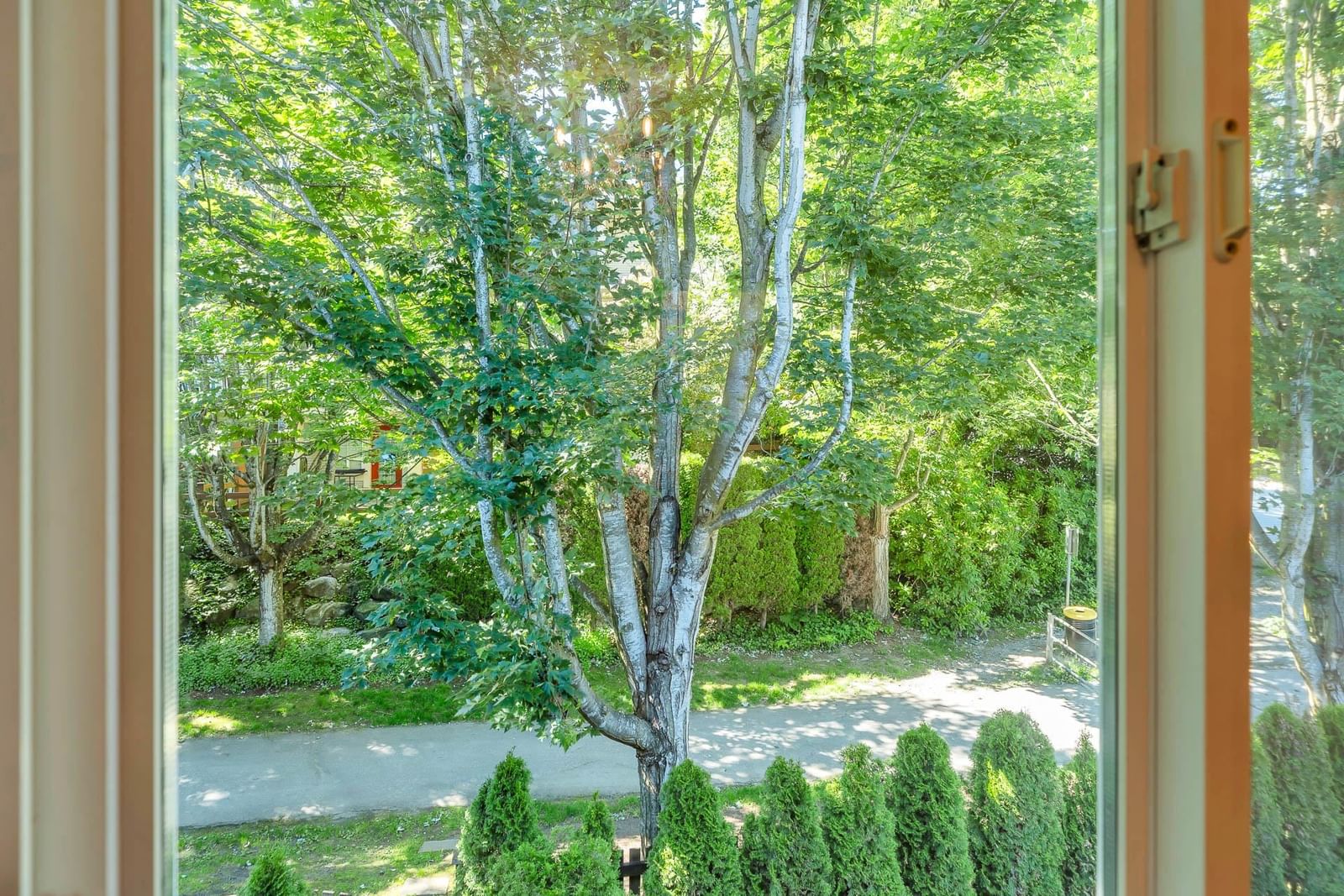 Listing Image 20