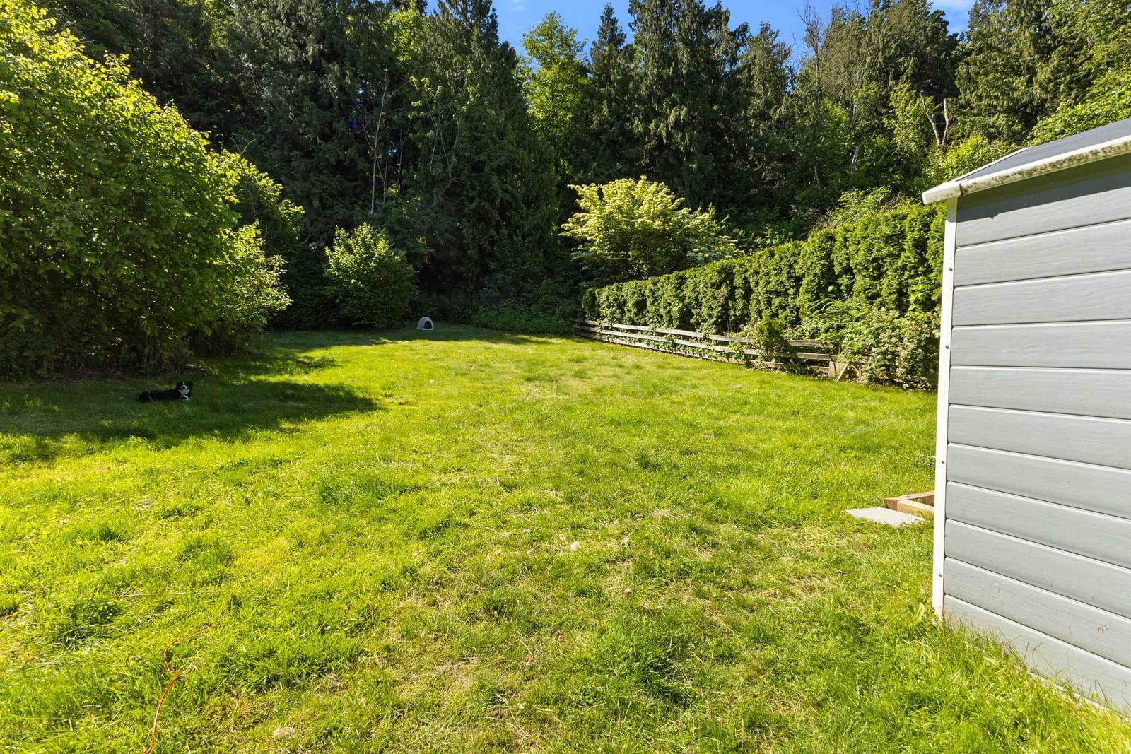 Listing Image 25