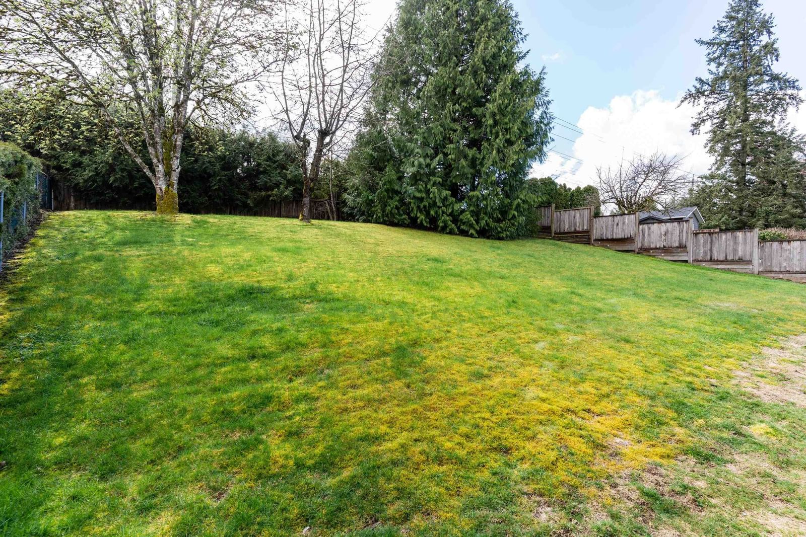 Listing Image 37