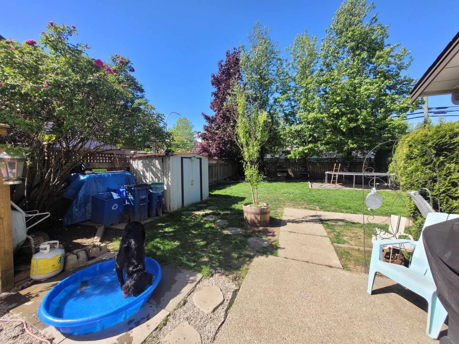 Listing Image 24
