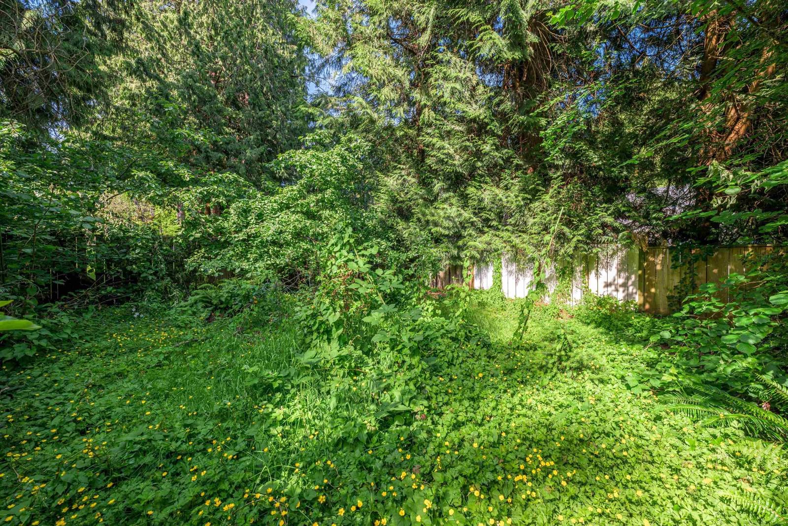 Listing Image 17
